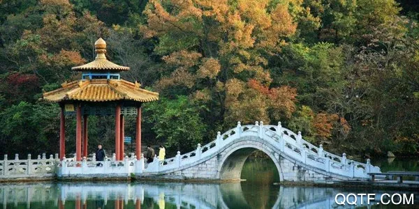 E滁州(滁州生活服务软件) E滁州(滁州生活服务软件)