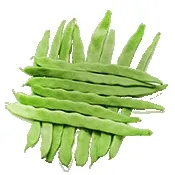 С�˶�2026���ذ�װv4.1 ��Ѱ�