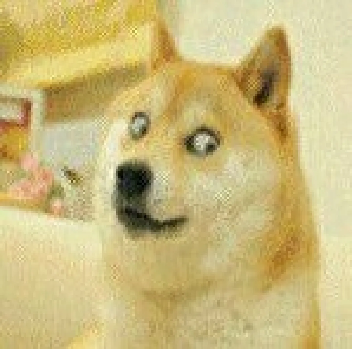 ����������2026���ذ�װv20260128 �ٷ�����