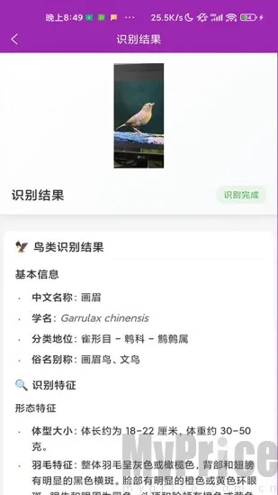 识鸟(鸟类识别工具) 识鸟(鸟类识别工具)