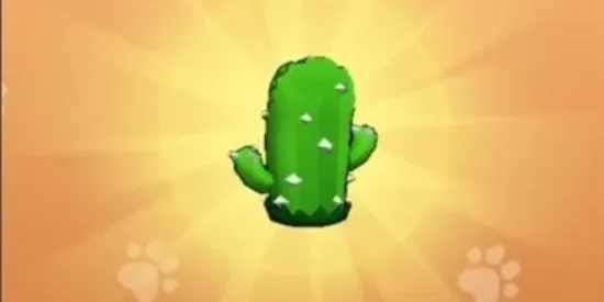 ��Ҫ��װ�����ò˵�