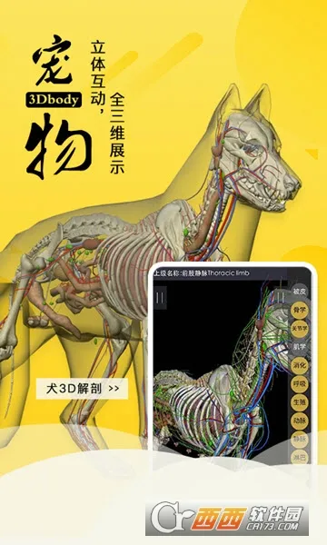 3dbody宠物中文版 3dbody宠物中文版