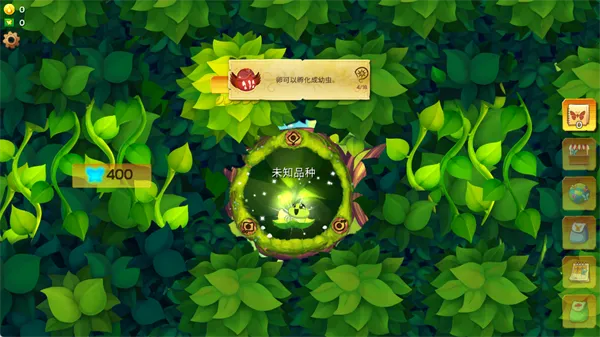 彩翼蝴蝶保护区破解版 彩翼蝴蝶保护区破解版