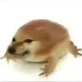 �ҵĵ������ư�(������Ϸ)v1.0 app