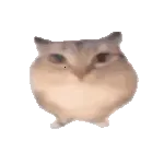 �ͰͲ�һ(����ȷ���ܵ�����)v1.0 �ٷ�����