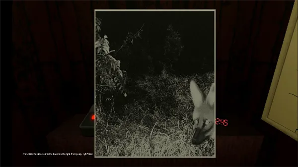 ����۲�Ա�ֲ���Ϸ