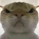 �������ж����󹤾�(�������ж�����)v1.0 �ֻ���