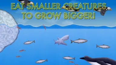 美味海洋鲨鱼版 美味海洋鲨鱼版