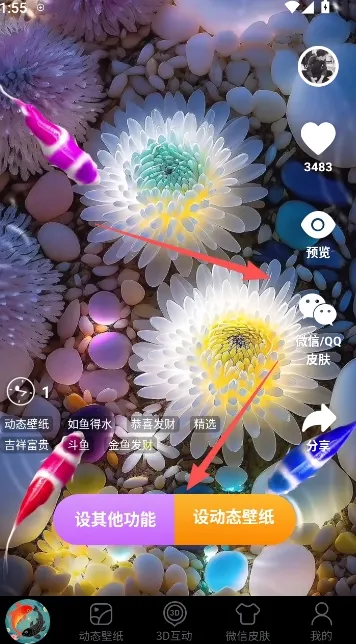 锦鲤金鱼壁纸2026最新版本