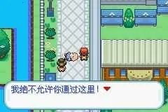 口袋妖怪梦的光点(宝可梦冒险游戏)