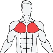 Muscle Wiki(健身辅助软件)v3.0.9 安卓版