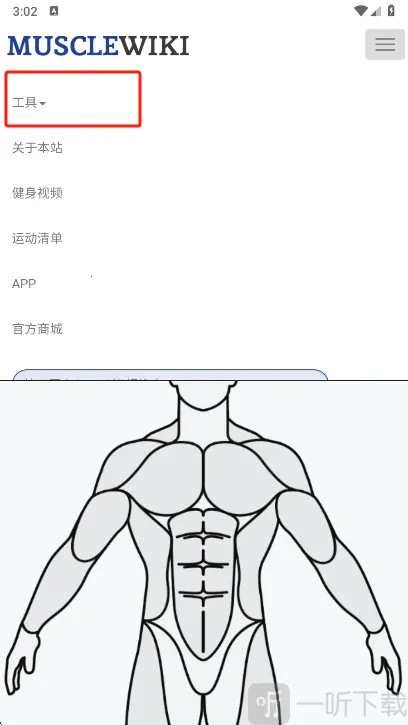 Muscle Wiki(健身辅助软件) Muscle Wiki(健身辅助软件)