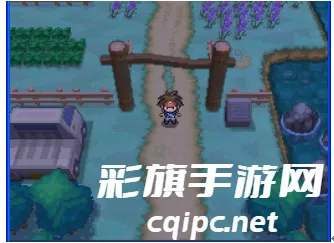 口袋妖怪黑白2(宝可梦冒险游戏)