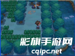 口袋妖怪黑白2(宝可梦冒险游戏)