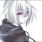 夜景端口防封软件2026官方正版v夜景端口 app