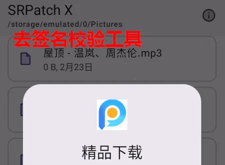 去签名校验工具(SRPatchX工具功能)