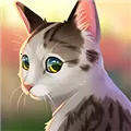 猫咪救援故事(猫咪救援游戏)v1.8.4 安卓版