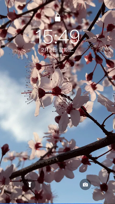 主题库Pro 主题库Pro