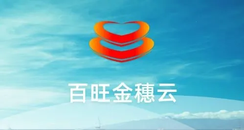 百旺金穗云(财税服务平台) 百旺金穗云(财税服务平台)