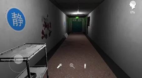 孙美琪疑案方婷婷(恐怖解谜游戏)