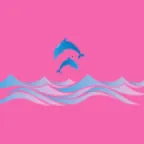 玩动相册(照片管理工具)v1.0.0 手机版