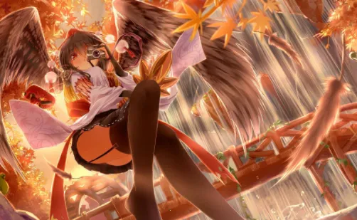 兽耳助手无登录解锁角色下载 兽耳助手无登录解锁角色下载