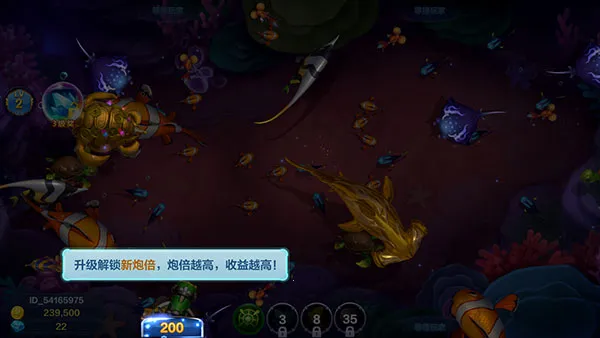 ����󿧿�(������������)