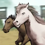 赛马也疯狂内置菜单折相思v3.5.0 app