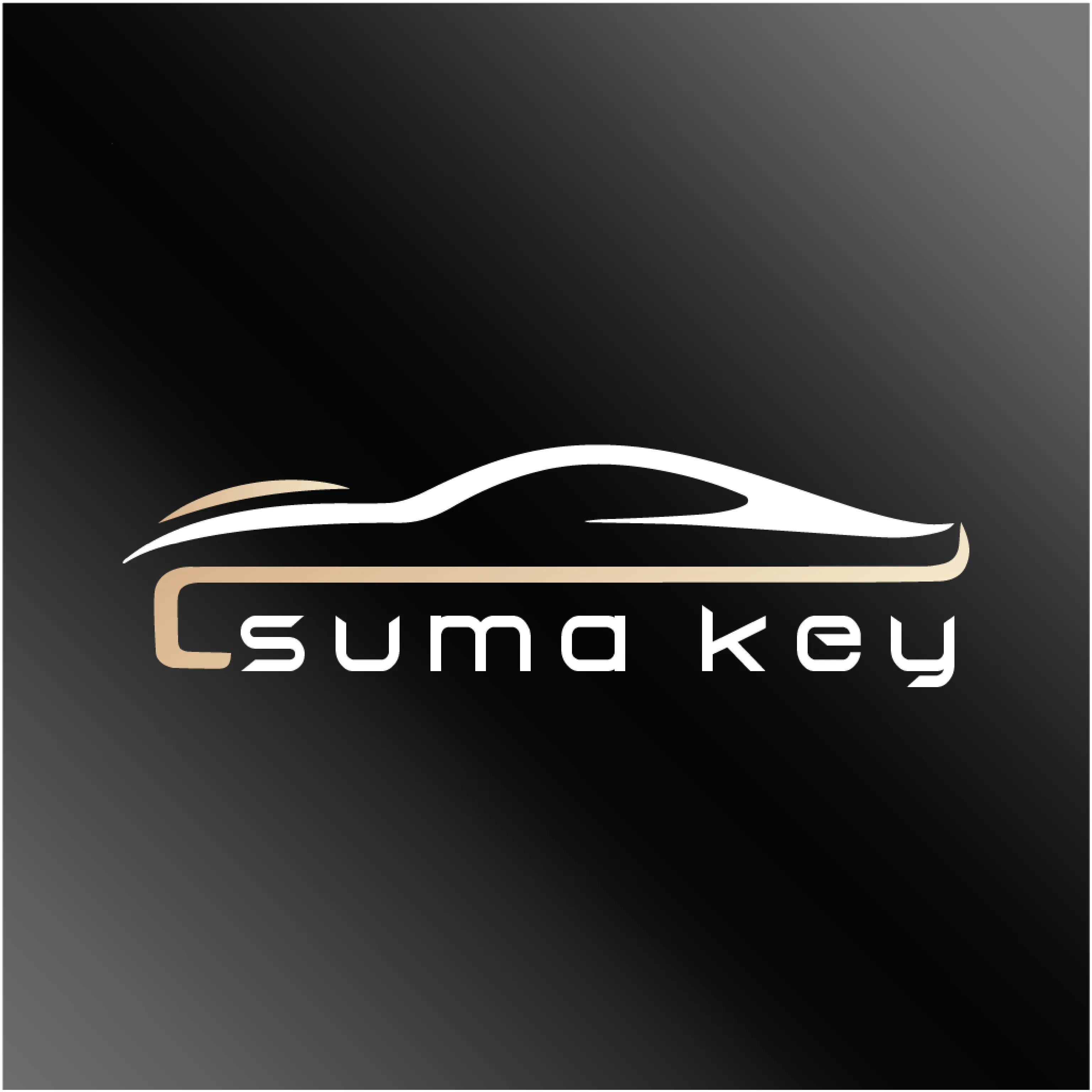 速马控2026下载安装v26.04.08.01 安卓版