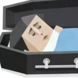 SBTI����(�˸������Ϸ)v1.1.1 ��Ѱ�