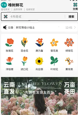 Ψ���ʻ���׿���ֻ���