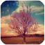 ���ӵİ�����ȫ2026�ٷ����°汾v3.4.5 app