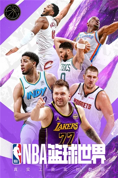 NBA篮球世界(篮球竞技游戏) NBA篮球世界(篮球竞技游戏)