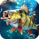 ���ֵ����ʦ2026�ٷ�����v1.0.0.206127 ��Ѱ�