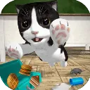catsimulatorè��ģ����(è��ģ����Ϸ)v1.0.0 ��Ѱ�