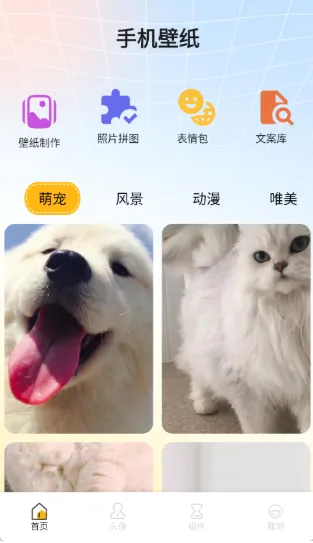 添星汇图
