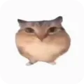 �ͰͲ�һ����(Ȥζ���������Ϸ)v1.0 ��׿��