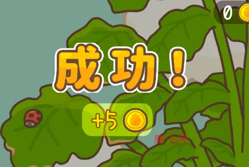 ����Ů�����ܲ�(����Ů����Ӫ������)