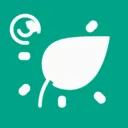 Ҷ��֪��2026�ٷ�����v1.0.1 �ٷ�����