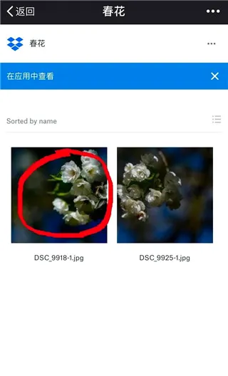 dropbox最新手机版 dropbox最新手机版