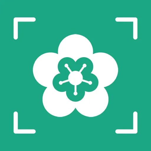 AI����ʶ�ﰲ׿���ֻ���v1.0.5 �ٷ�����