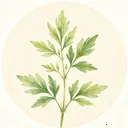 野草日记(离线日记应用)v1.0.0 手机版